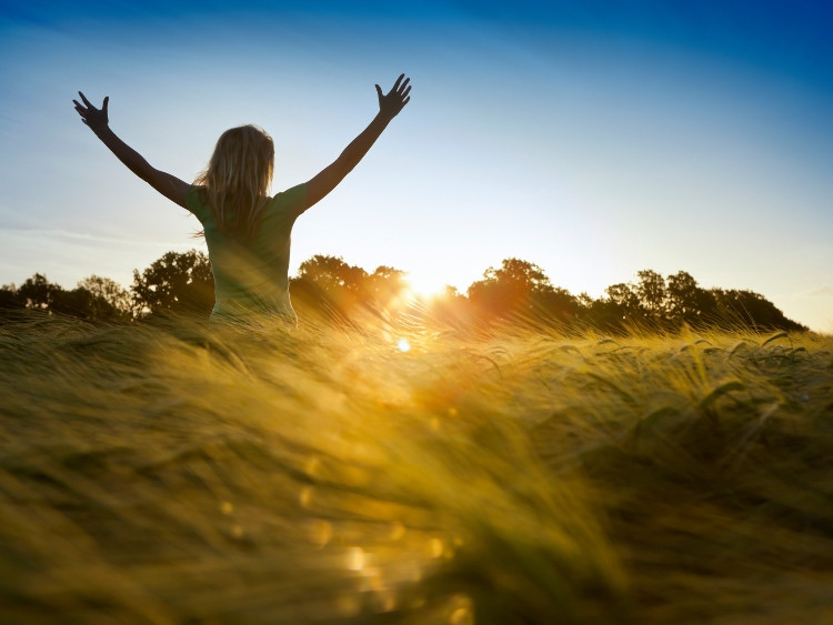 Honouring the Cycles: Helping Healers Thrive