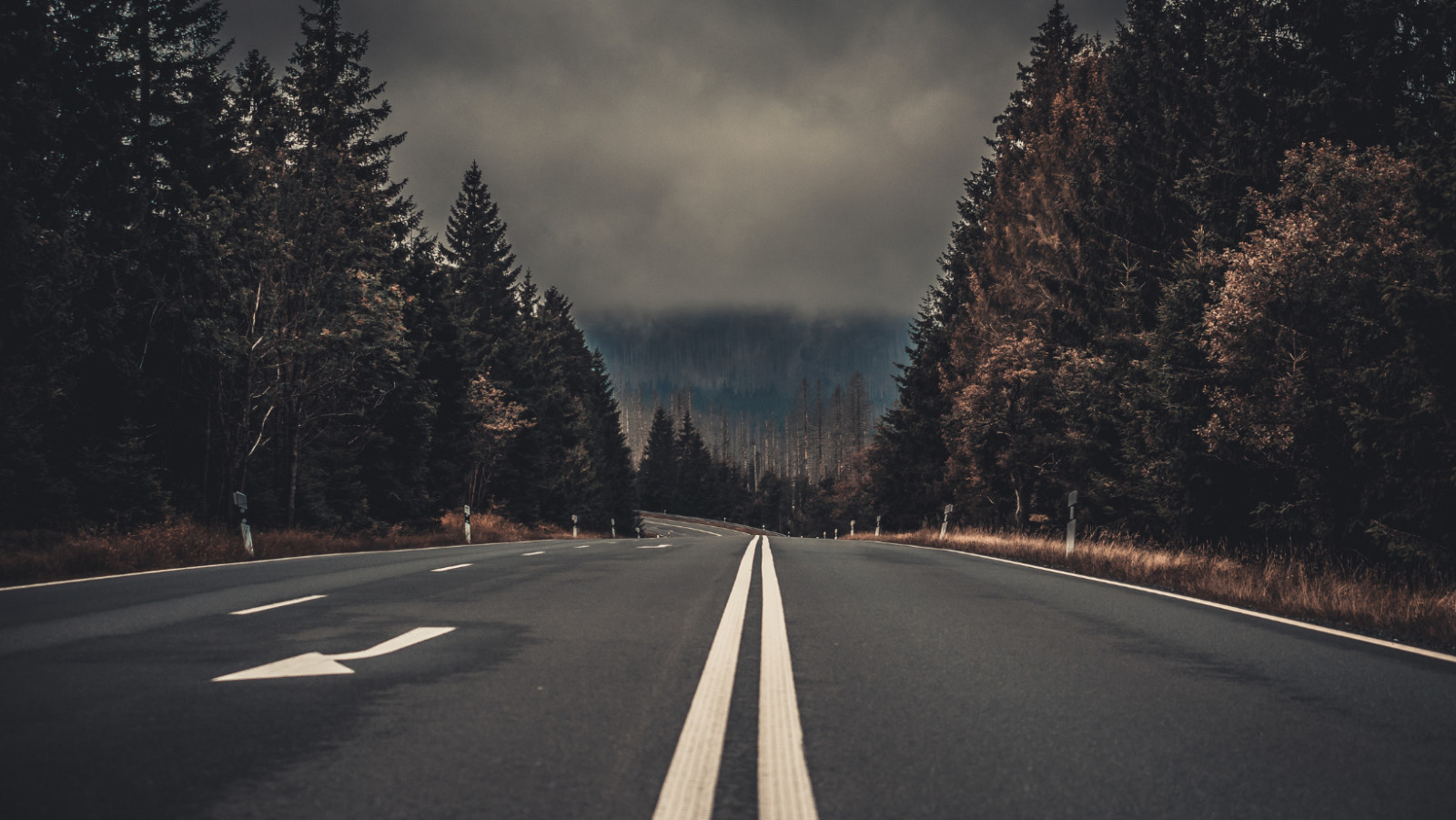 Navigating the Crossroads