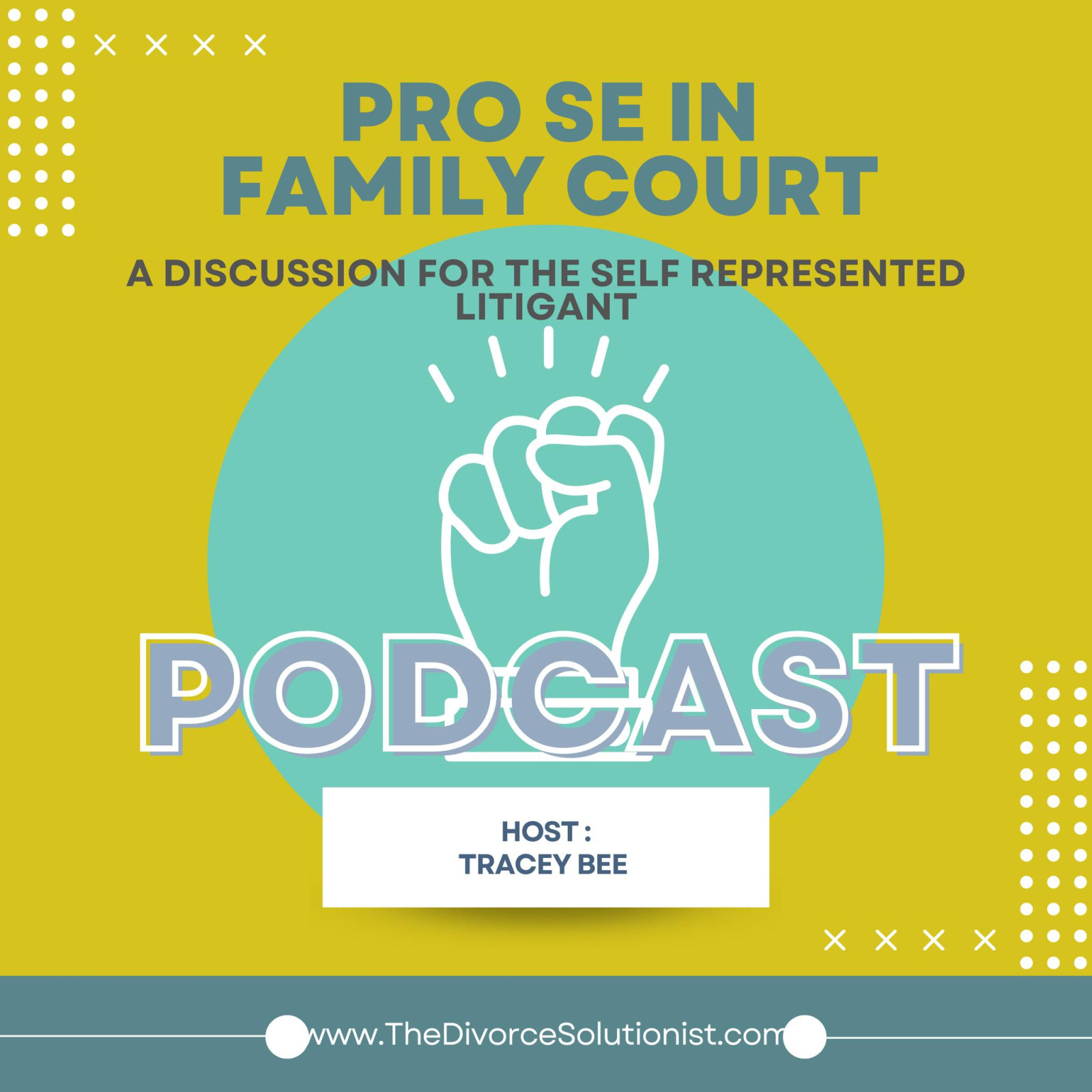 Welcome to the Family Court Strategy Podcast!