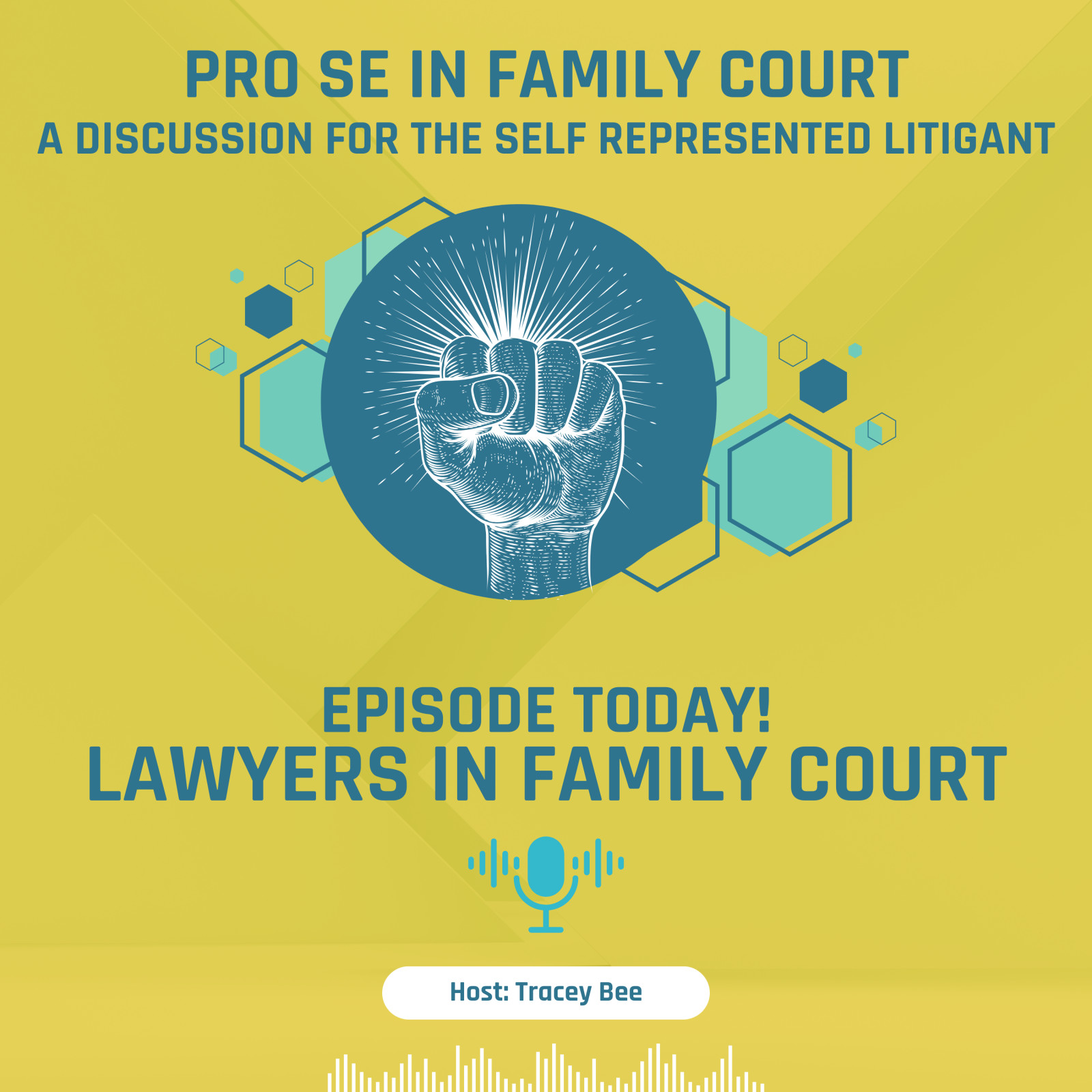 Episode 6: Lawyers in the Court