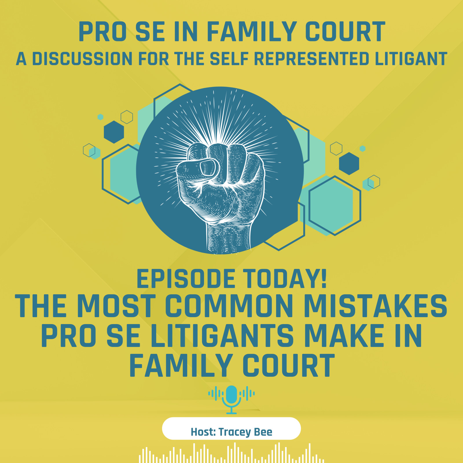 Episode 7: The Most Common Mistakes Pro Se Litigants Make in Family Court