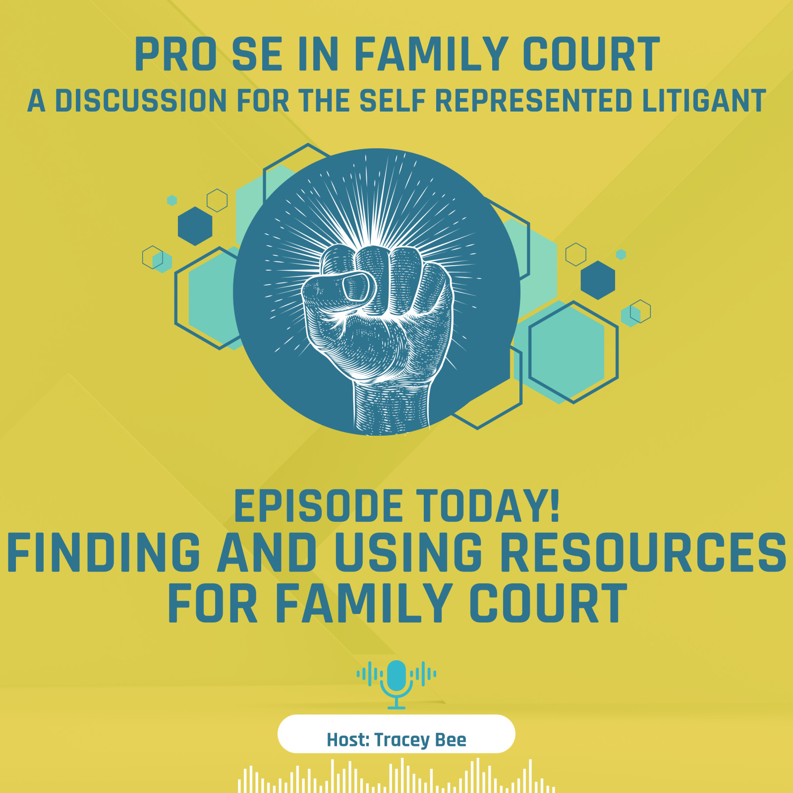 Episode 8: Finding and Using Resources for Family Court