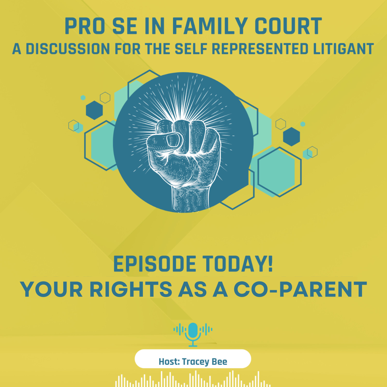 Episode 10: Your Rights as a Co-Parent