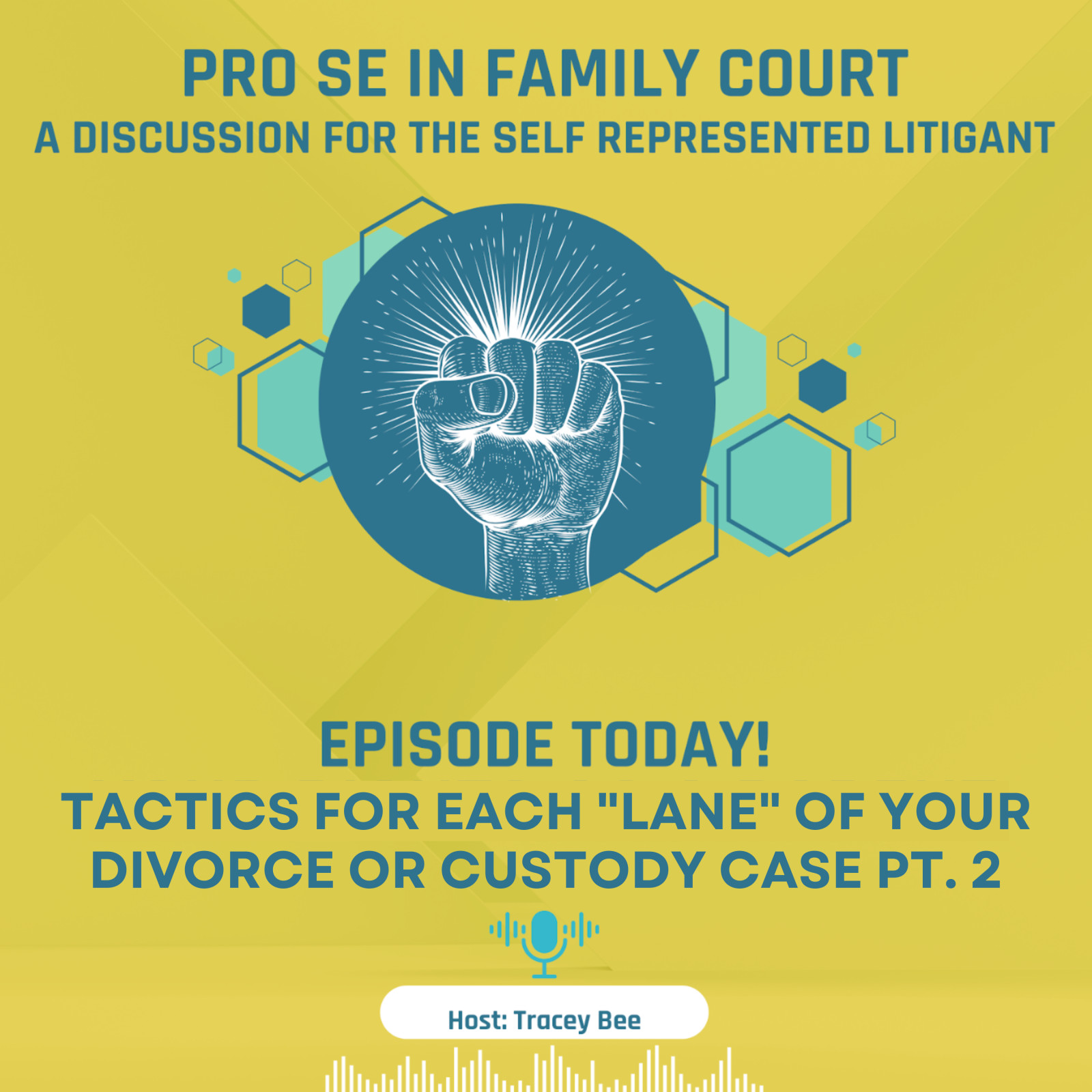 Episode 14: Tactics for Each "Lane" of Your Divorce or Custody Case pt. 2 