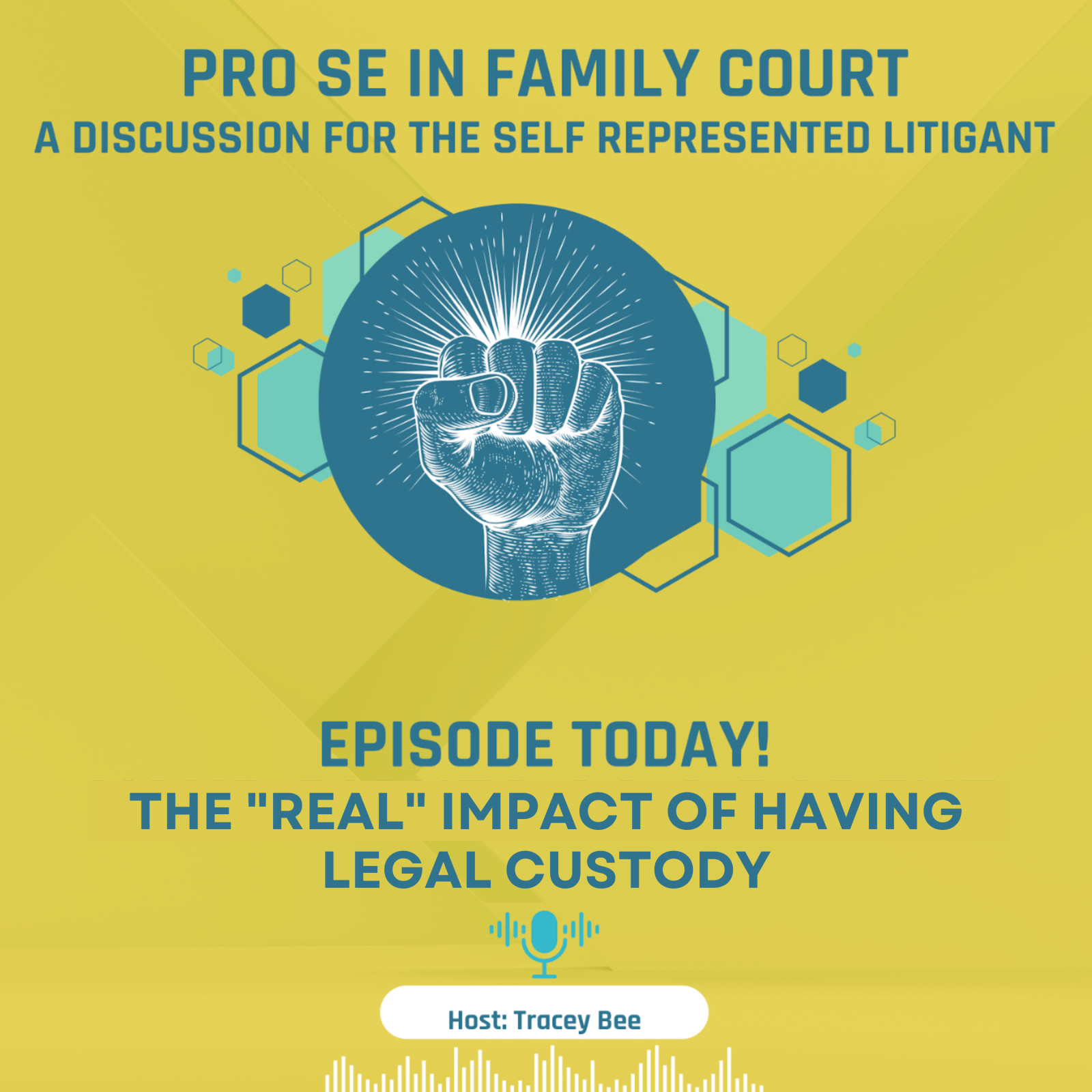 Episode 17 - The "Real" Impact of Having Legal Custody