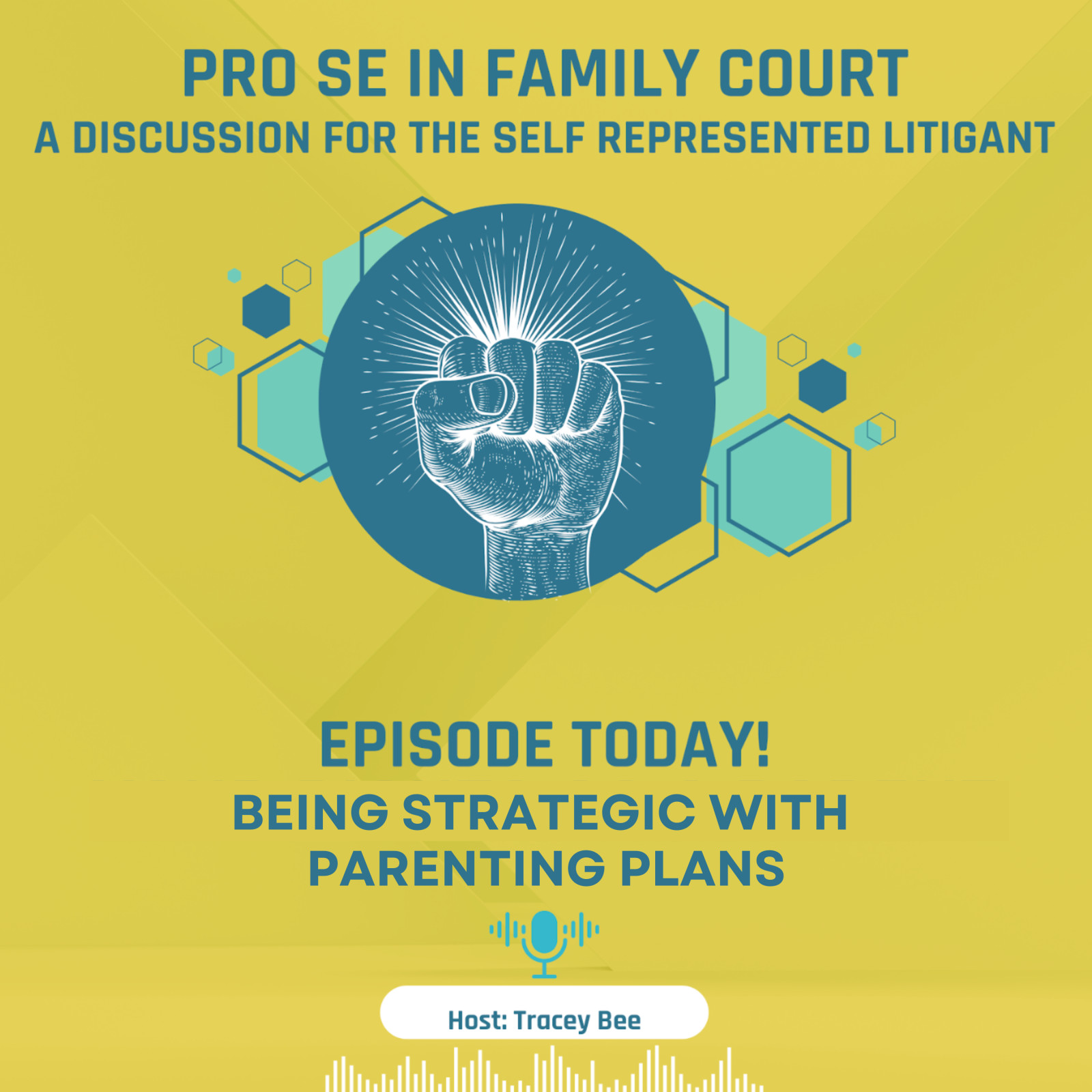 Season 2 - Episode 3: Being Strategic with Parenting Plans