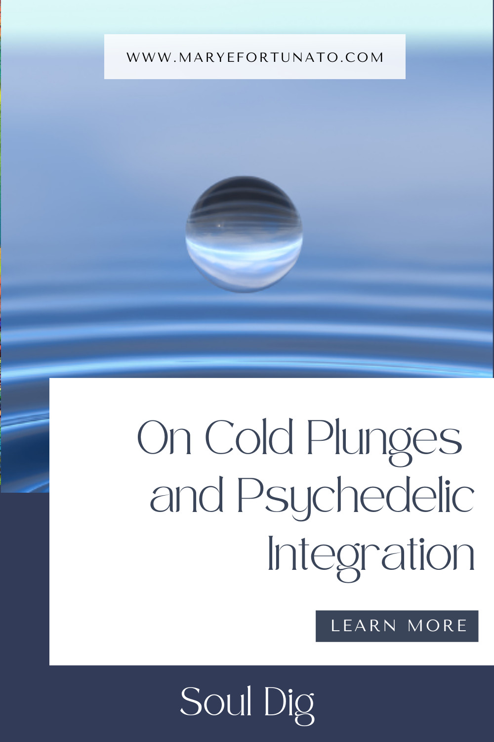  ✨ On Cold Plunges ❄️ & Psychedelic Integration ✨ 