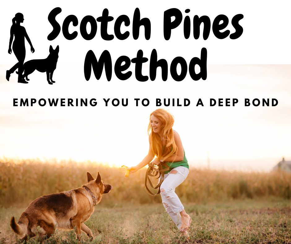 Mastering Commands with Choice: How the Scotch Pines Method Enhances Training