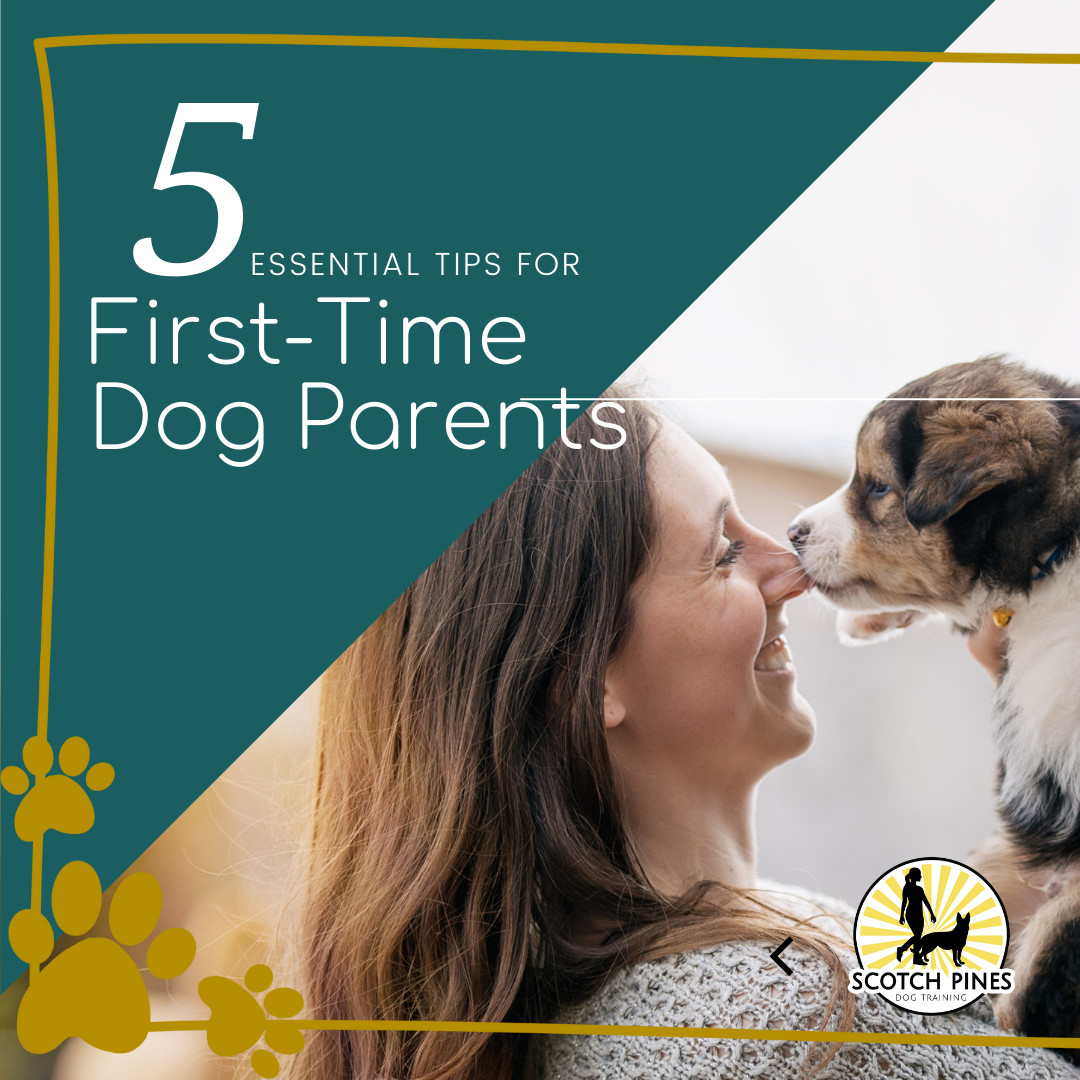 5 Essential Tips for First-Time Dog Parents: Nurturing a Lifelong Bond