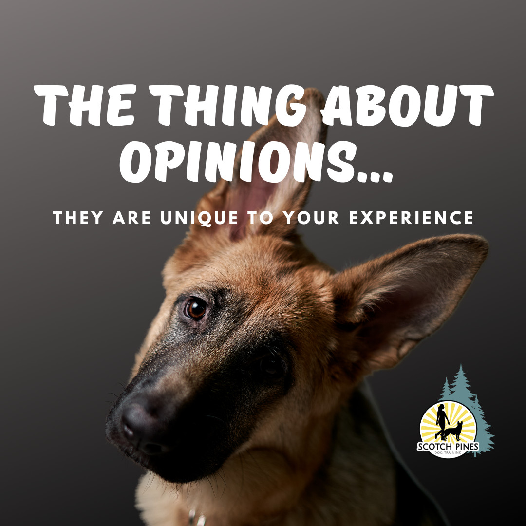 The Thing About Opinions...They Are Unique To Your Experience