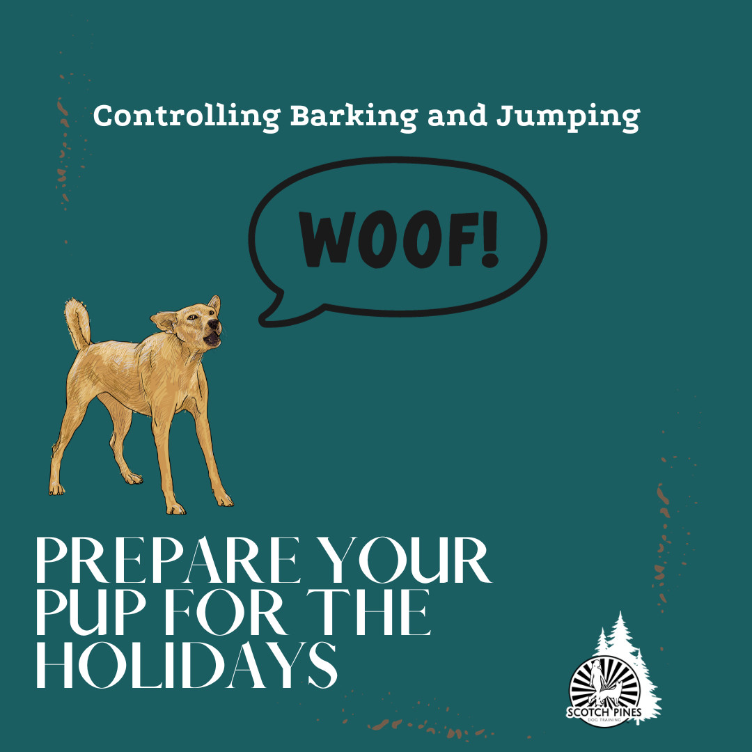  Controlling Barking and Jumping: Tips for a Pleasant Presence