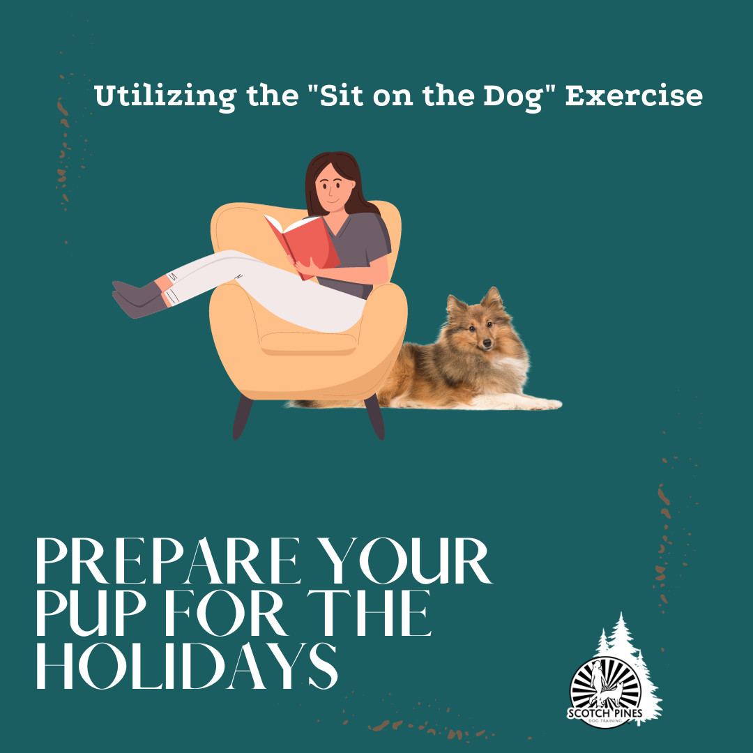 Harnessing Calmness with the "Sit on the Dog" Exercise