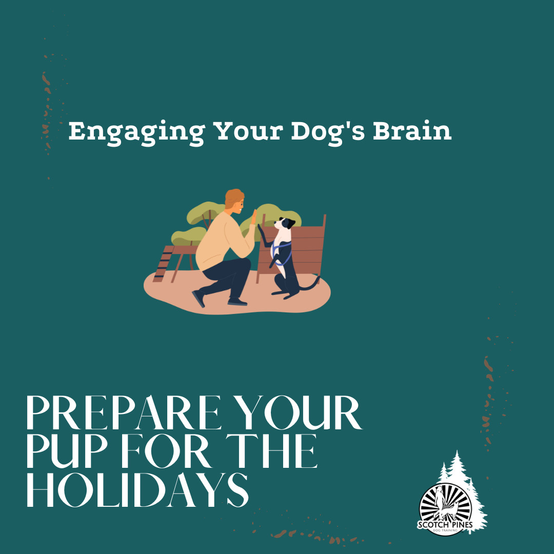 Canine Enrichment: An Excellent Tool For A Calm and Joyful Holiday Season for Your Dog