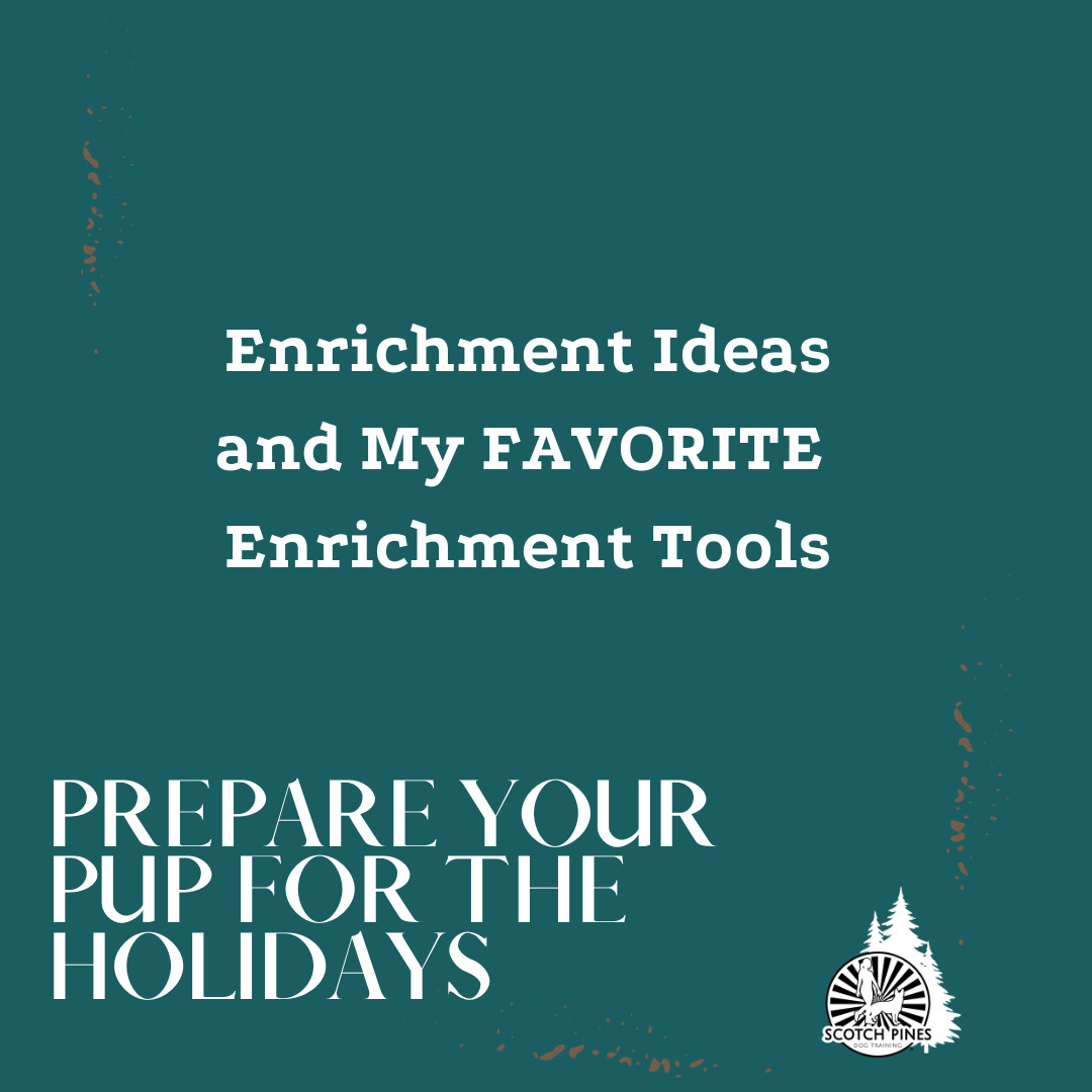 My Fav Enrichments Things From Amazon and Free Ideas!