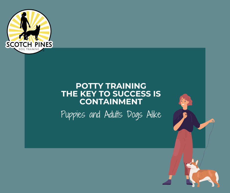 Key to Success: Containment → Why Containment is Crucial for Puppy Potty Training