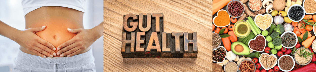 Your Gut Health & Hormones: The Connection You Need to Know