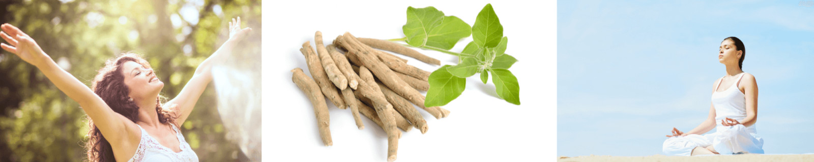 How to Support Your Adrenals & Reduce Stress-Induced Fatigue