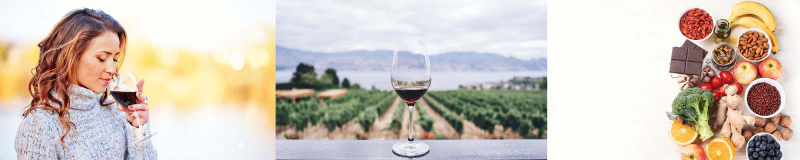 Is Wine Really an Antioxidant Powerhouse, Or a Hidden Hormone Disruptor?