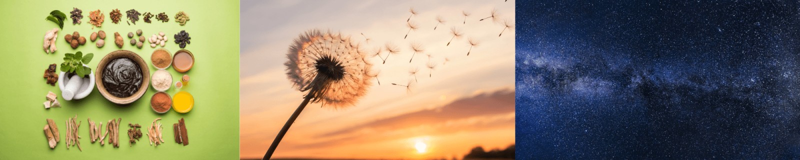 What Do Ayurveda & Physics Have to Do with Longevity?