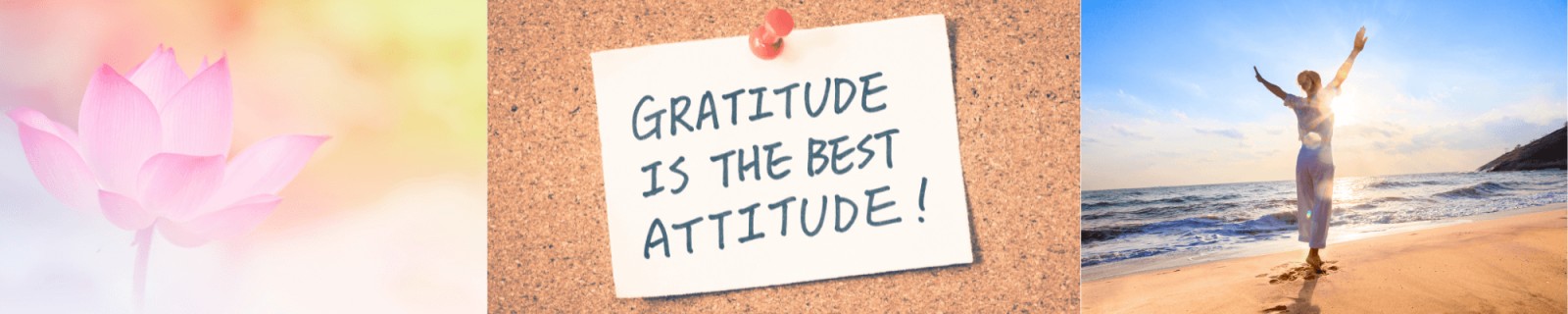 Science of Gratitude: How a Simple Practice Rewires Your Brain, Lowers Stress, & Supports Longevity