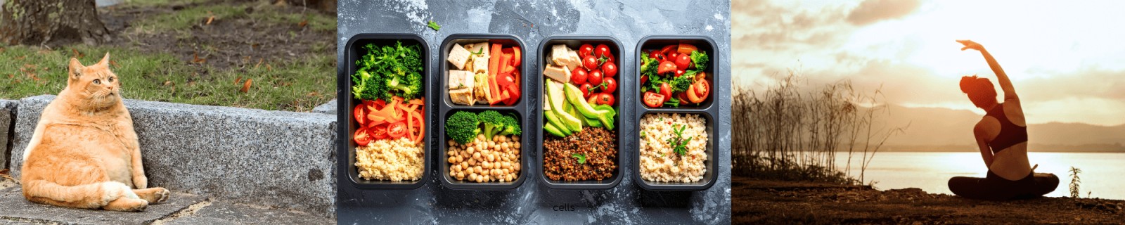 Why Stress Makes Us Gain Visceral Fat, And What Every Woman Needs to Know About the “Menobelly”