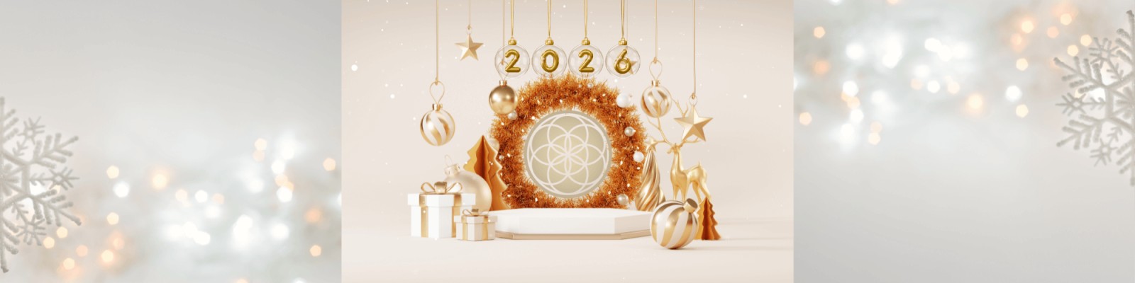 A Different Way to Begin the New Year: Vision Before Resolutions