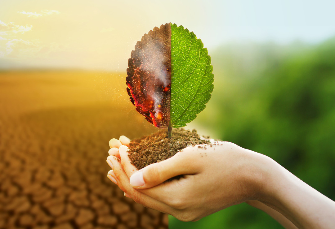Nurturing the Soul in Turbulent Times: Understanding and Supporting Climate Anxiety