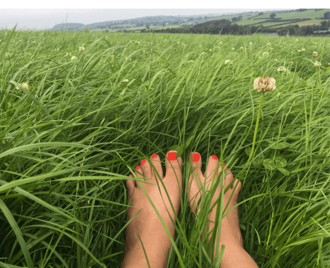 When You’re Not Fine, But Not Falling Apart: Understanding the Nervous System’s Quiet Strain