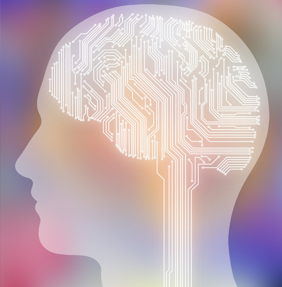 Personality & Anxiety: Why You React the Way You Do