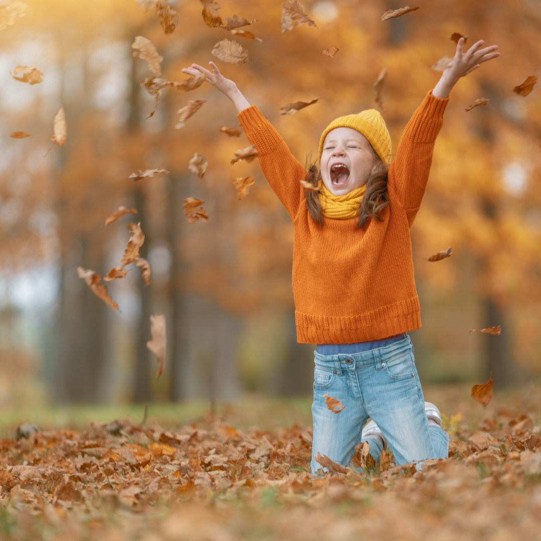 Fall Frenzy: How to Keep Overstimulation from Hijacking Your Home