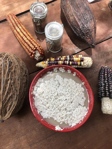 Sacred Saturday: The Spirit of Cacao — Heart Medicine of the Ancients