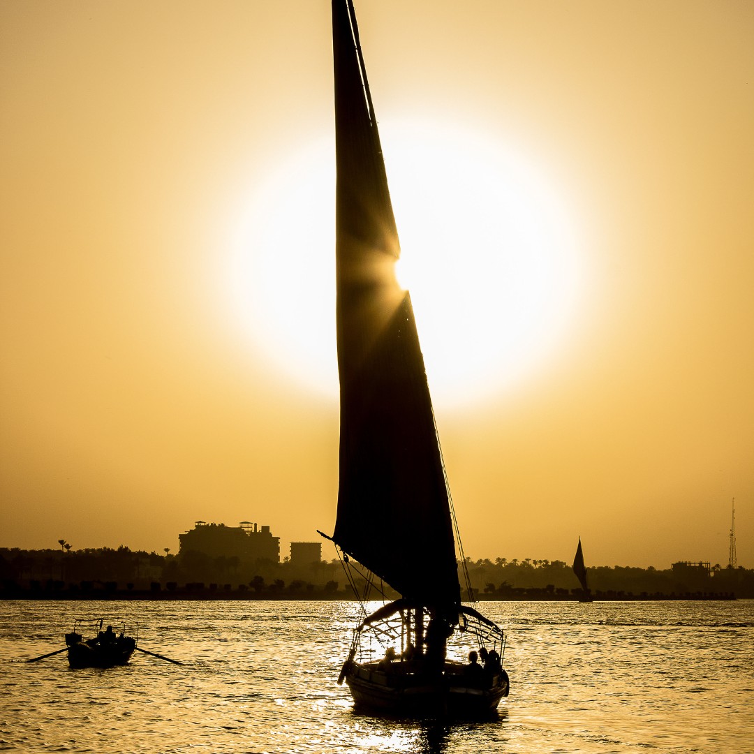 The Harvest Within — Honoring What’s Growing and What’s Gone