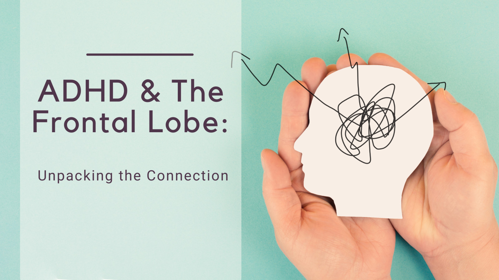 ADHD and the Frontal Lobe: Unpacking the Connection