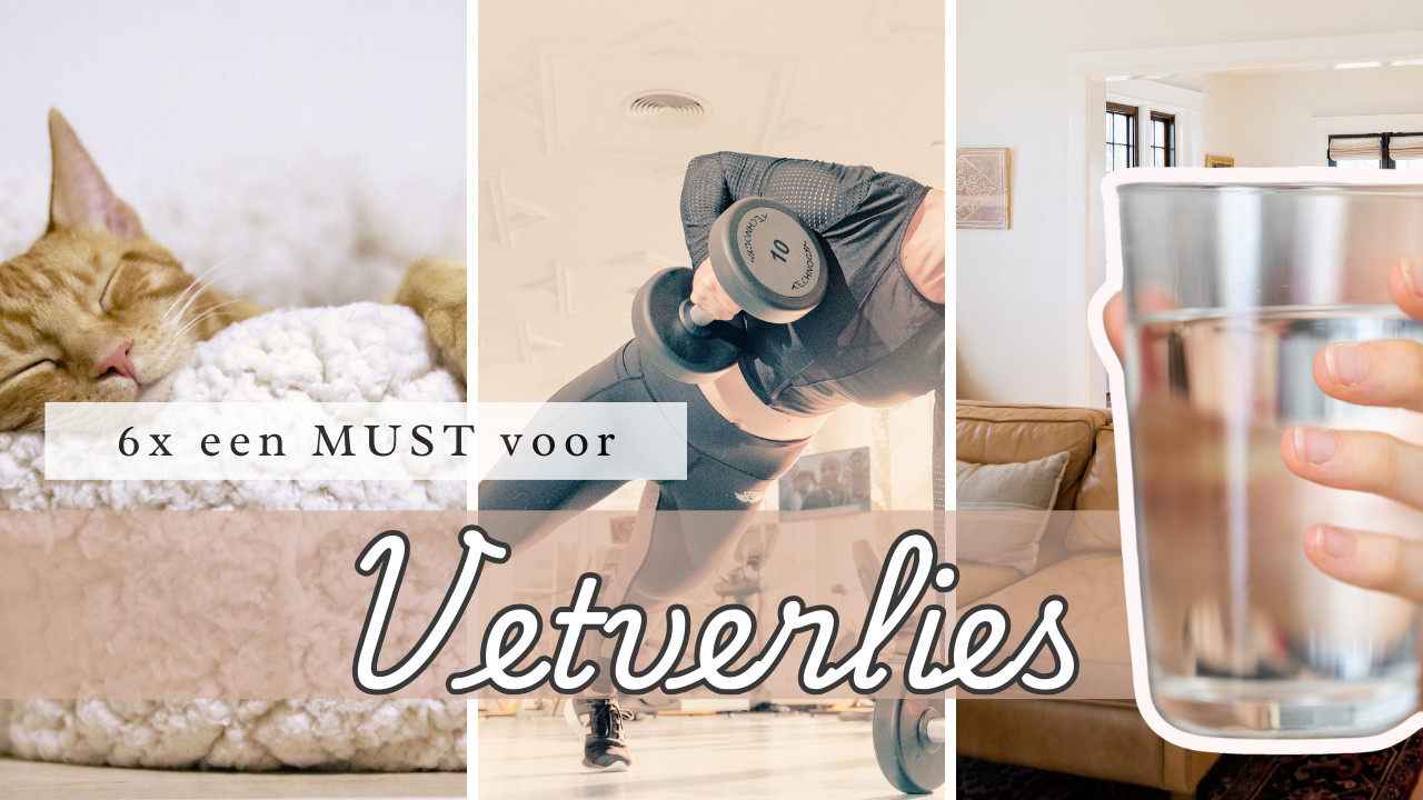 6 Simpele Vetverlies Hacks Die Je Leven Veranderen