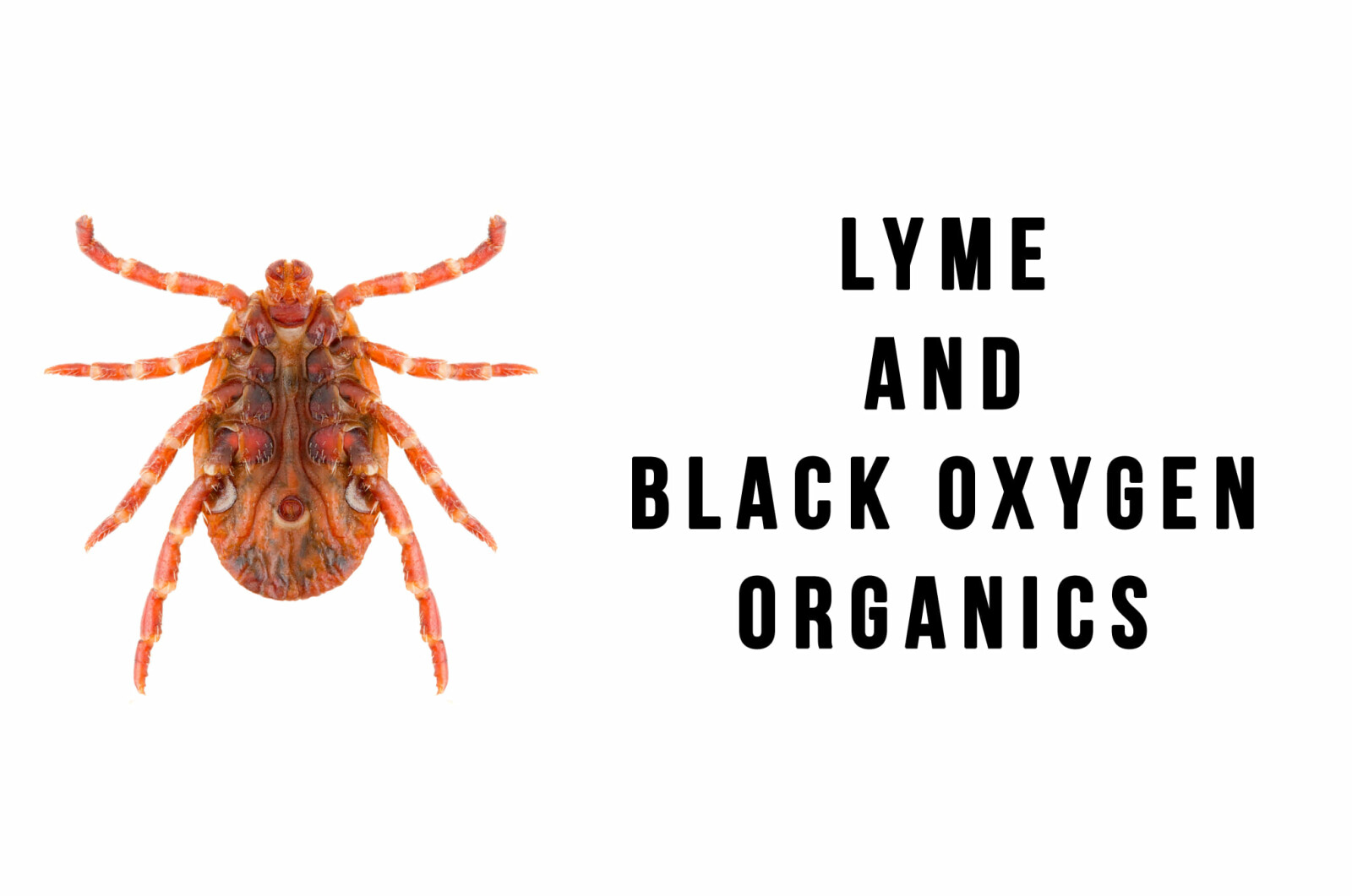 Lyme Disease + Black Oxygen Organics - Science + Resources 