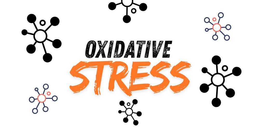 Oxidative Stress And Why Is It Bad?