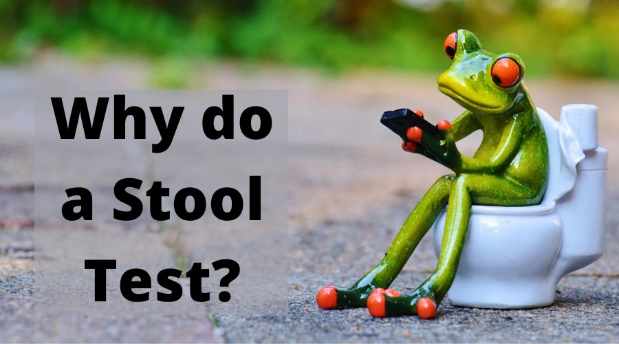 Why Do A Stool Test?