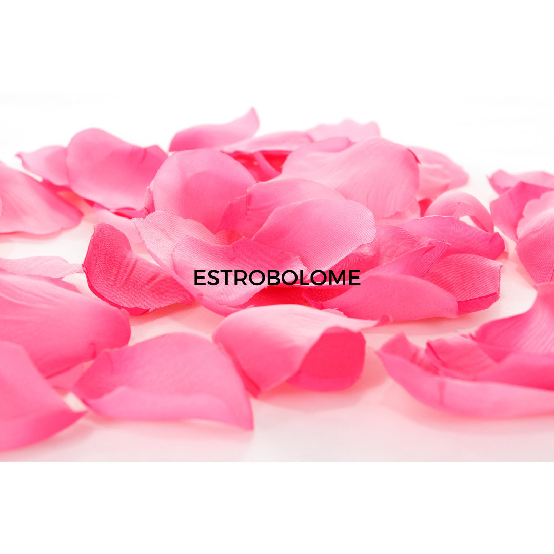  What is the Estrobolome? Navigating hormonal health for busy women
