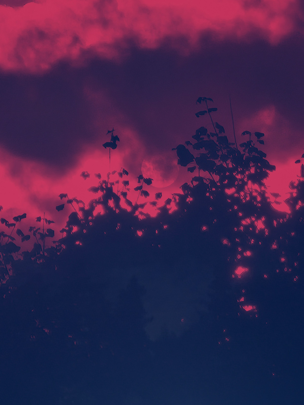 Understanding Sacred Rage: A Path to Healing and Empowerment