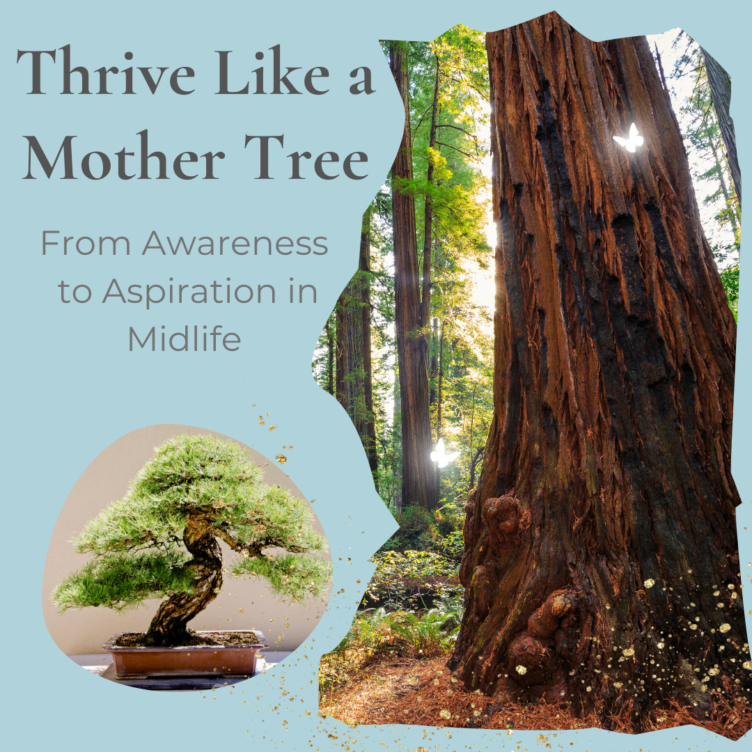 Thrive like a Mother Tree: From Awareness to Aspiration in Midlife