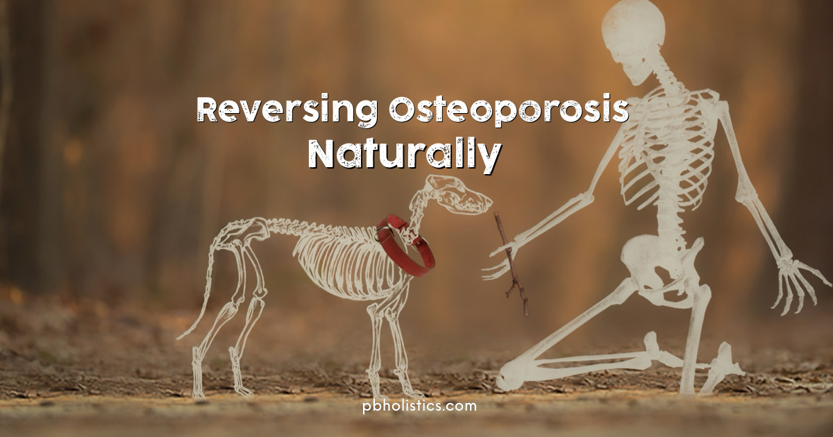 Four Ways To Prevent or Reverse Osteoporosis