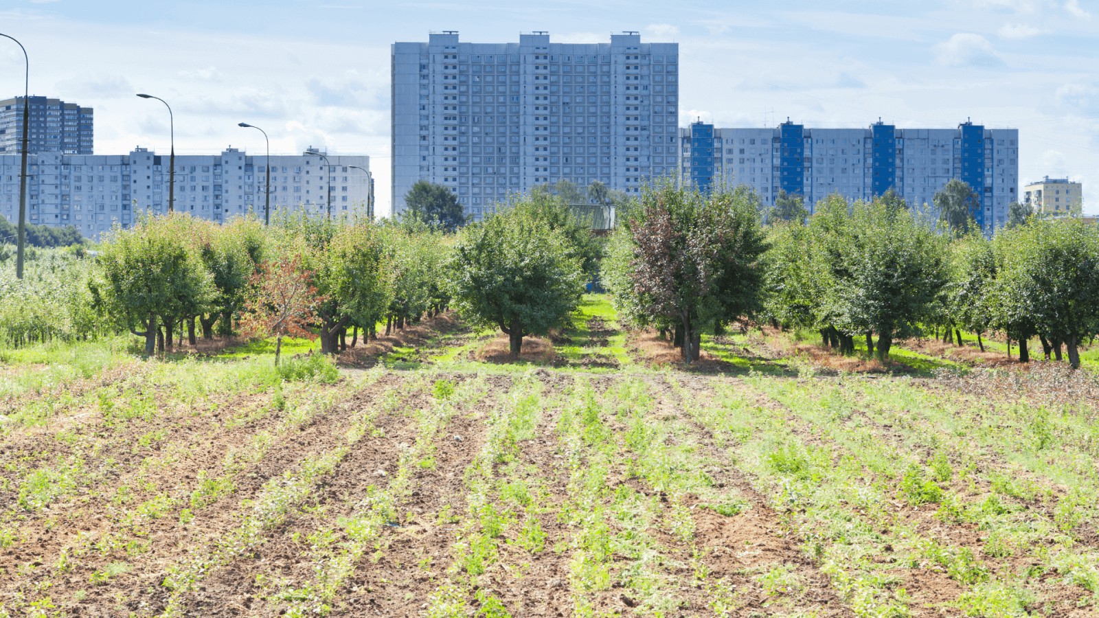 Leadership Is the Seedbed of Culture