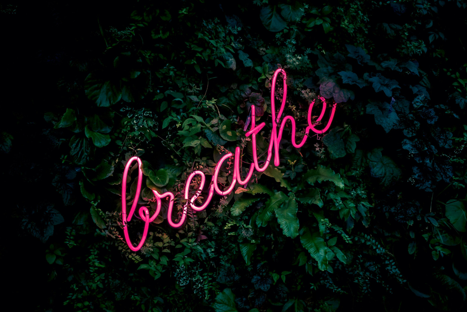 🌬️ The Role of Breathwork in Raising Your Vibration