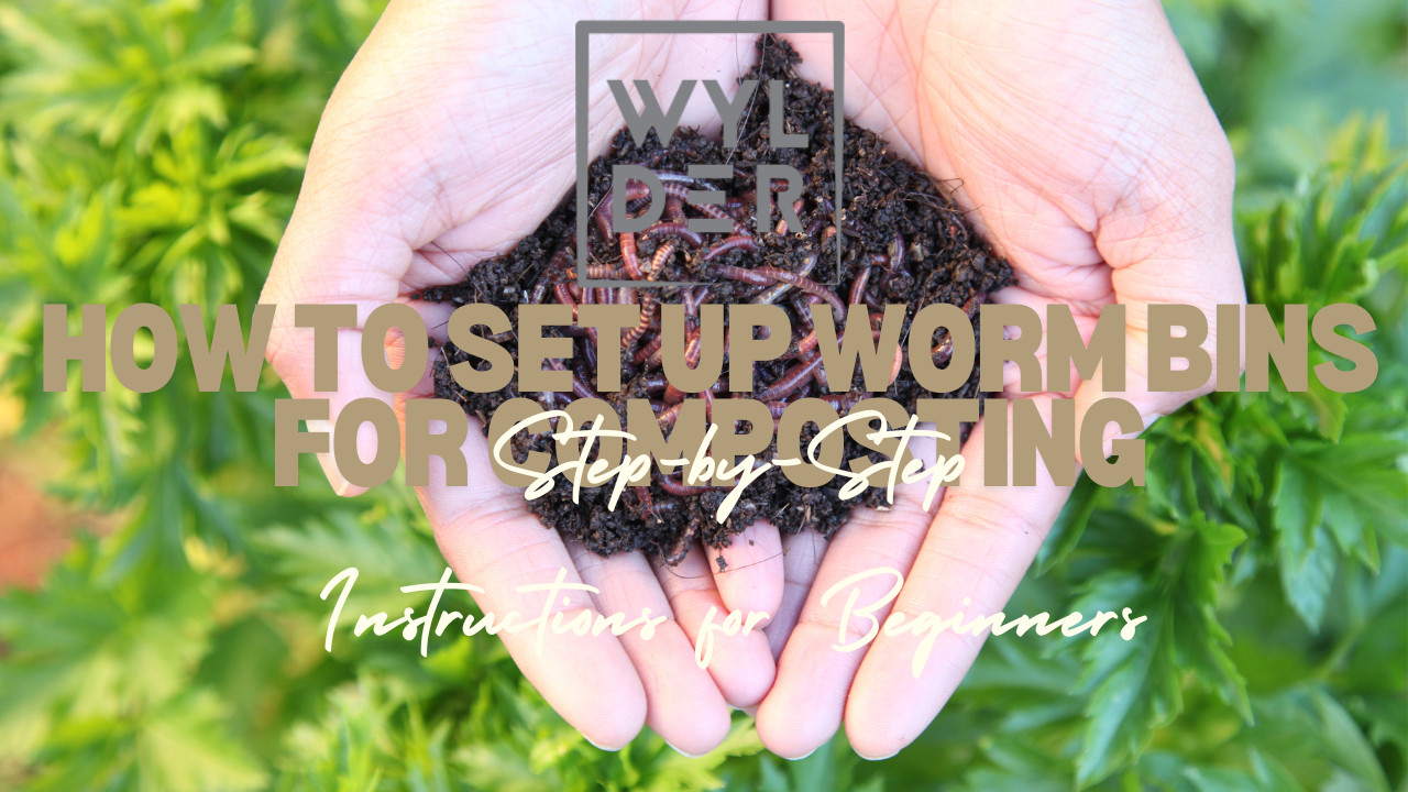 How to Set Up a Worm Bin for Composting: Step-by-Step Instructions for Beginners