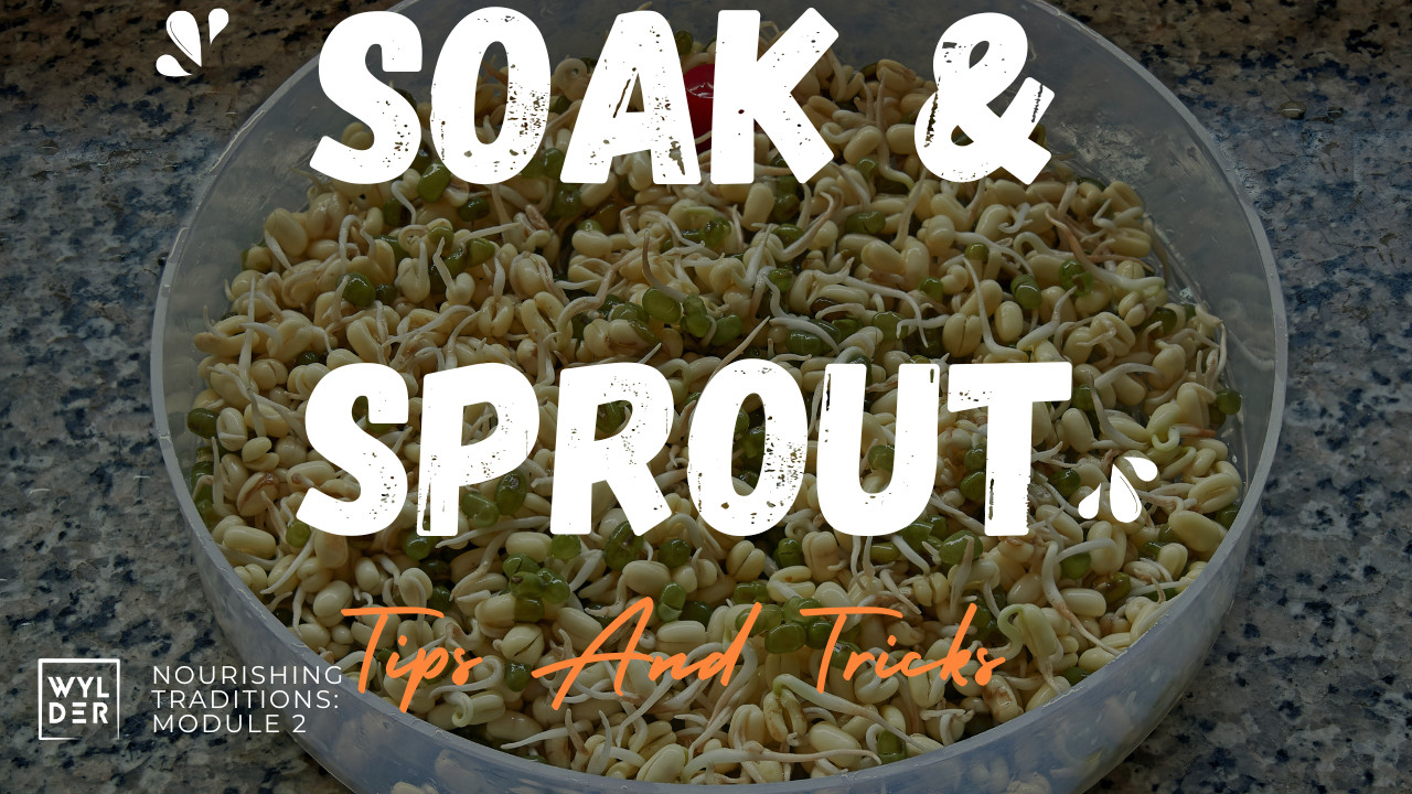 Unlock the Power of Soaking and Sprouting for Nutrient-Dense Cooking