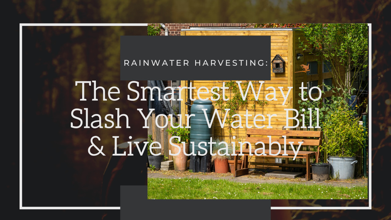 Rainwater Harvesting: The Smartest Way to Slash Your Water Bill & Live Sustainably