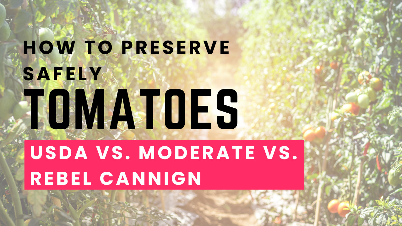 The Great Tomato Canning Debate: USDA vs. Moderate vs. Rebel Methods