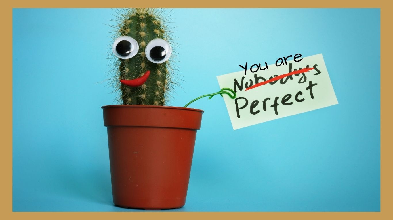Nobody’s Perfect...Really?