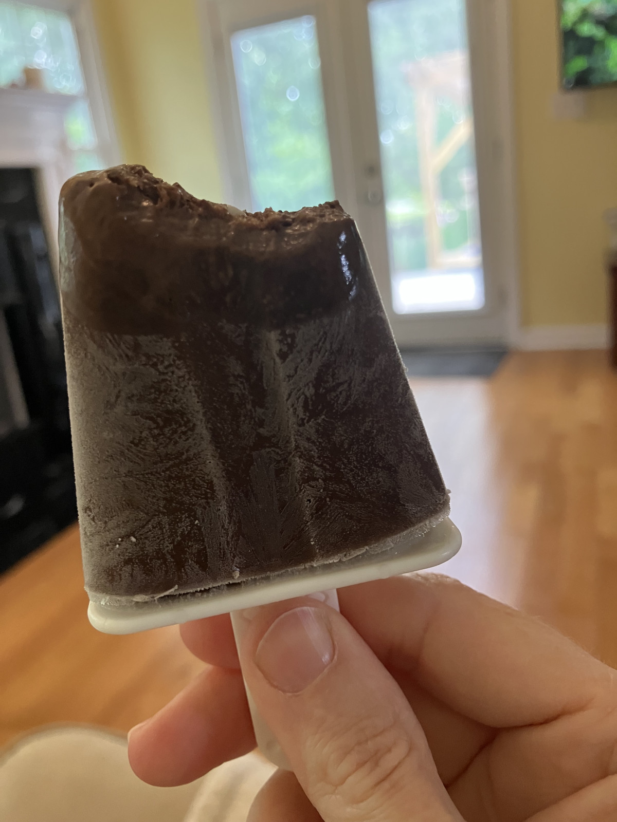 5 Ingredient Fudge Pops!