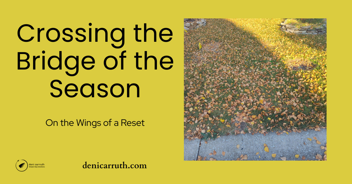 Crossing the Bridge of the Season - On the Wings of a Reset